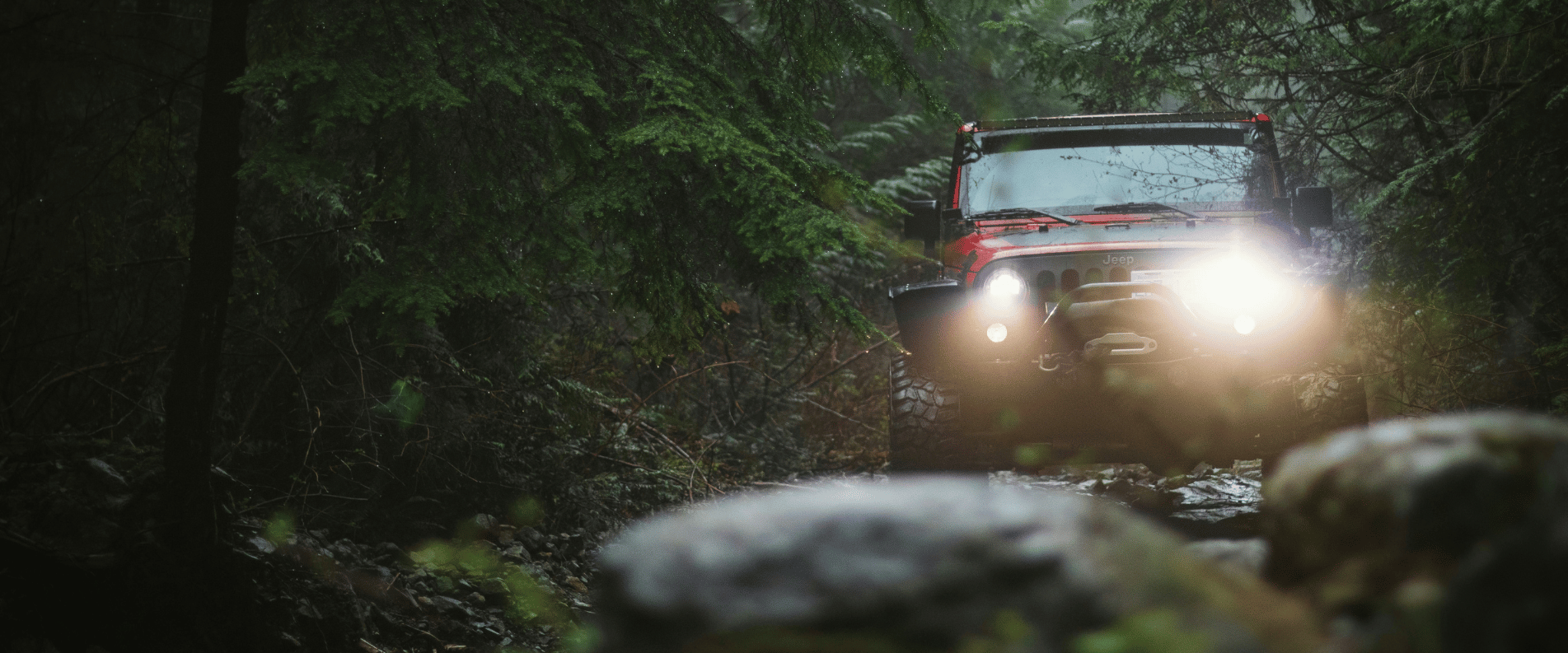 4WD in rainforest